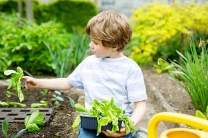 home improvement projects for kids