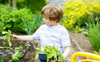 4 Home Improvement Projects for Kids to Help With