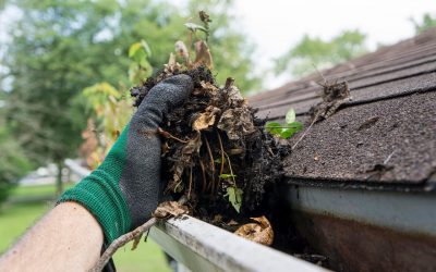 6 Steps to Clean the Gutters of Your Home