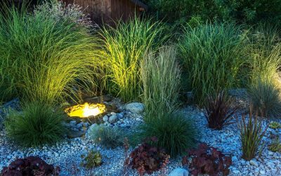 How to Plan Your Landscape Lighting